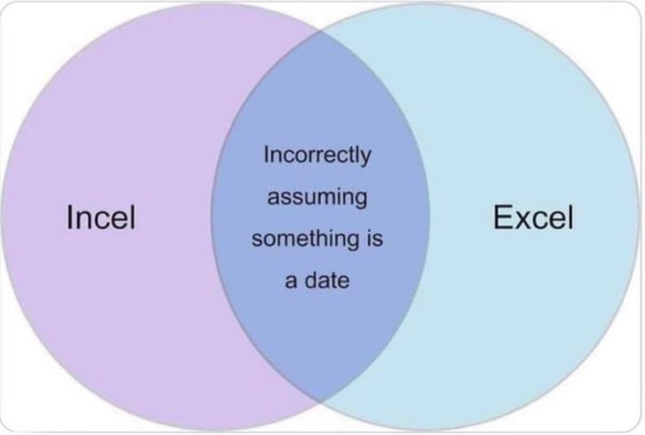 Venn diagram of "Incel" and "Excel". Where they overlap, the intersection is labelled "Incorrectly assuming something is a date".