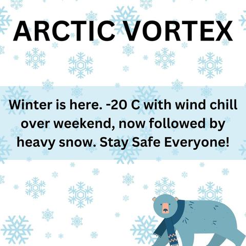 Snowflakes and polar bear imagery with note about -20C cold weather and snow.