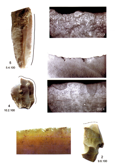 Plisson Hugues. Examen tracéologique de quelques silex collectés sur le sol de la grotte Chauvet.

Bulletin de la Société préhistorique française, tome 102, n°1, 2005. La grotte Chauvet à Vallon-Pont-d'Arc : un bilan des recherches pluridisciplinaires Actes de la séance de la Société préhistorique française, 11 et 12 octobre 2003, Lyon. pp. 145-148.

DOI : https://doi.org/10.3406/bspf.2005.13346

www.persee.fr/doc/bspf_0249-7638_2005_num_102_1_13346