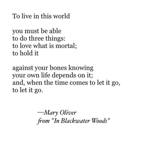 To live in this world you must be able to do three things: to love what is mortal; to hold it against your bones knowing your own life depends on it; and, when the time comes to let it go, to let it go. —Mary Oliver from "In Blackwater Woods"