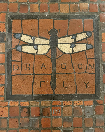 photo of the floor tile mosaic: dragonfly design with black body and white wings with blue spots, square frame, labeled “DRAGON FLY” & numbered “100”