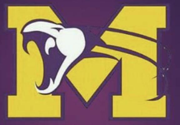 Logo featuring a stylized white viper’s head on a purple and gold "M" background.