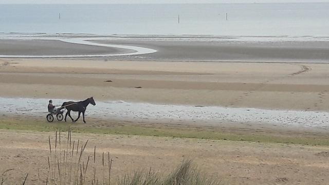 Plage et mer à Utah Beach dans la Manche, avec au premier plan un trotteur à cheval, photo prise en 2020