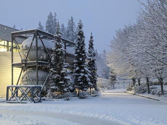 About 6 inches of snow covered everything. 
on the left are 2 very large cyclical pressure tanks attached in a truss like cage.
3 tall skinny evergreens stand beside. 
To the right 3 large spherical deciduous trees covered in snow.