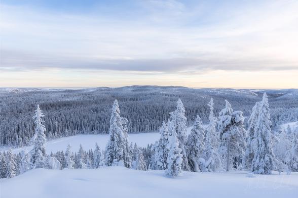 Vy över Skuleskogens Nationalpark.