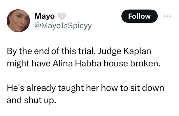 Tweet by @MayoIsSpicy: By the end of this trial, Judge Kaplan might have Alina Habba house broken. He's already taught her how to sit down and shut up.