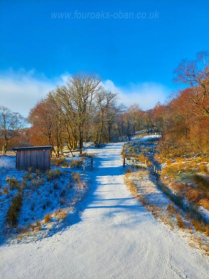Track way covered in snow with clear blue skies above.