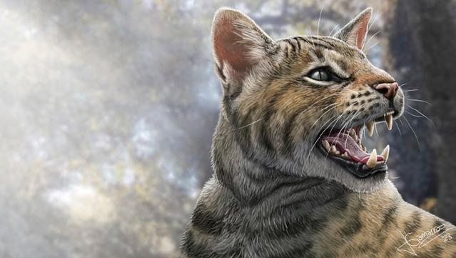 reconstructed life appearance of the newly described prehistoric cat