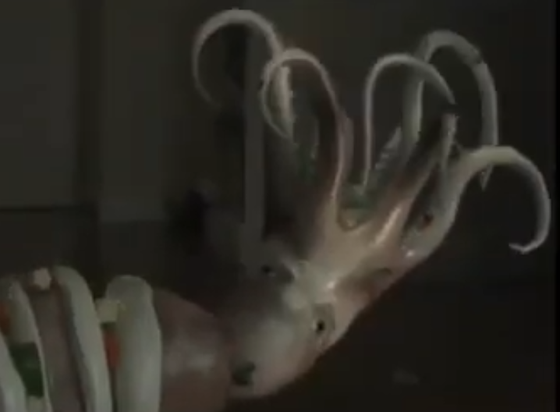 Still from the ad, showing a very weirdly animated thing that is supposed to be a squid, I guess?