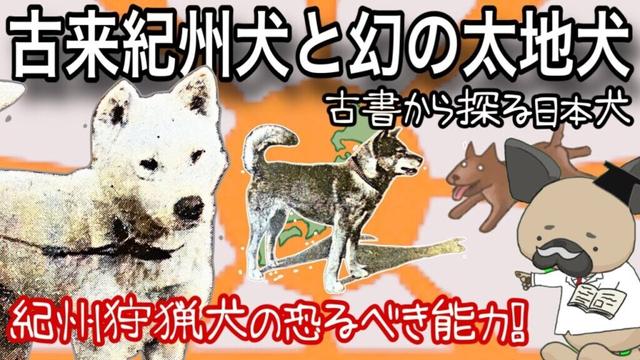 古来紀州犬と幻の太地犬〜紀州犬2〜古書から探る日本犬