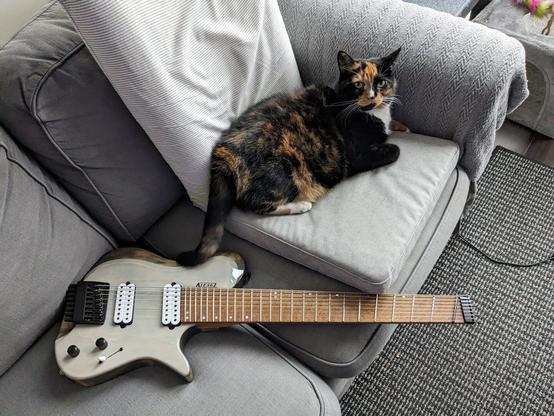 calico cat lying awake on a grey couch beside a 8 string white guitar on the corner of the couch. gray couch on the background. she's cozy and looking at the camera, her tail is touching the body of the guitar.