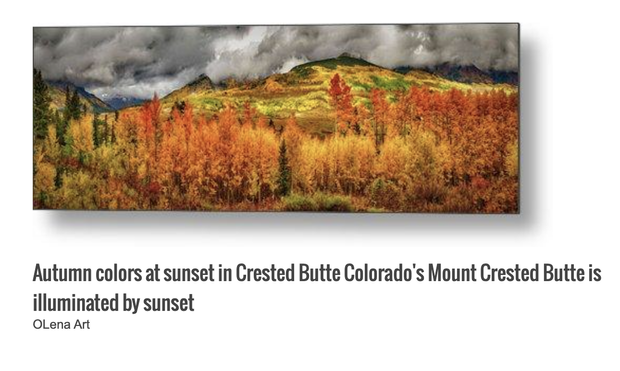 Autumn colors at sunset in Crested Butte Colorado's Mount Crested Butte is illuminated by sunset to a buyer from Glenwood Springs, CO.