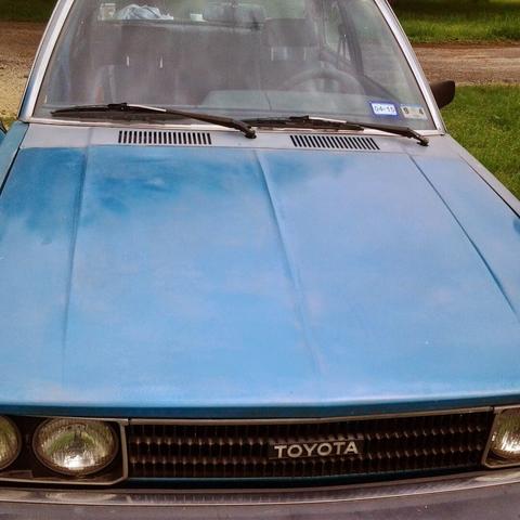 A closeup of the hood of a blue 1980 Toyota Corolla, parked in a grassy yard. The Toyota emblem is on the front grill.