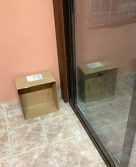 Schrödinger's cat!
