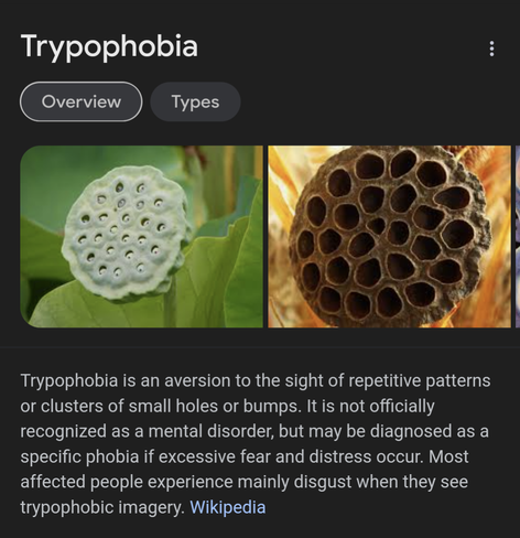 Trypophobia is an aversion to the sight of repetitive patterns or clusters of small holes or bumps. It is not officially recognized as a mental disorder, but may be diagnosed as a specific phobia if excessive fear and distress occur. Most affected people experience mainly disgust when they see trypophobic imagery. source Wikipedia