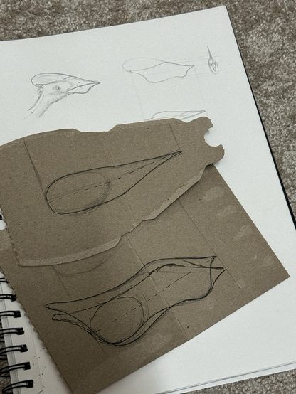 Outlines of the head of Sinopterus, one in an aerial view, and the other in profile, each on a piece of cardboard, resting on my sketchbook