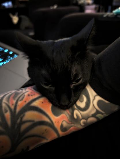 A sleek black short-haired kitten rests his head in the tattooed crook of a person's elbow. His eyes are half closed as he drifts off to sleep, because kittens truly can sleep anywhere, demonic kittens doubly so.
