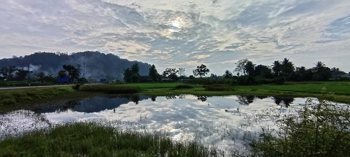 Blue morning sky above the horizon with a lot of textured white clouds, which obscure the sun. A water-filled rice field below the horizon with more water than rice extending to the camera. Hills in the far background. Rows of trees along the horizon. The rice field water is perfectly reflecting the morning sky.