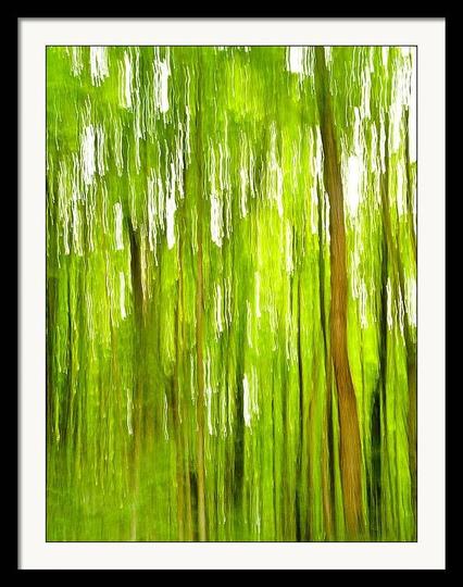 The Emerald Forest

This is an abstract image of a forest that I captured in Northern Michigan.
The subject of the image is the green forest and this fills the frame completely. 
The image is purposely blurred through camera movement to give the image an abstract affect. The movement was vertical so I could maintain some of the vertical details keeping the details in the forest mainly intact at the same time giving it a somewhat mysterious effect.