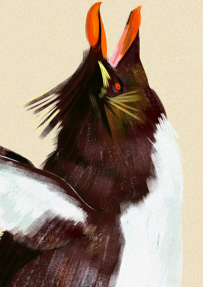 A choppy digital painting of a rockhopper penguin screaming to be fed.