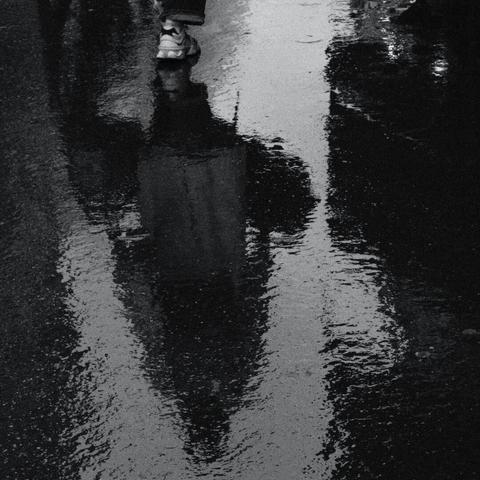 A gritty black and white image capturing the reflection of a lone person and trees in a water puddle on an urban street.