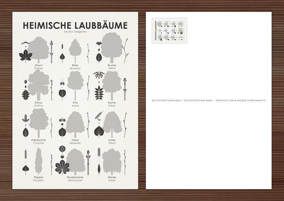 Postkarte mit einer Schautafel für Heimische Laubbäume mit Formen, Blättern, Früchten und Knospen der 12 häufigsten Baumarten von Iris Luckhaus