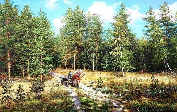 A warm sunny day in a pine forest. A horse pulls a cart along a forest road.