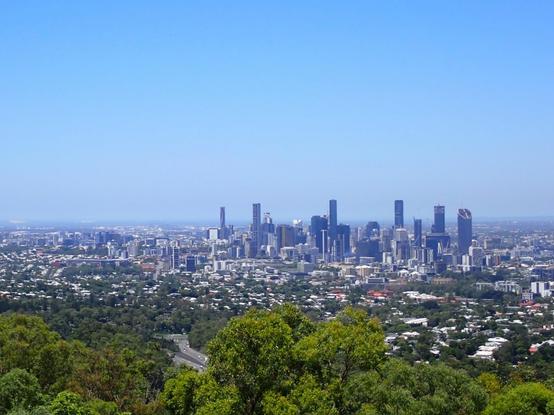 A hazy view of the city of Brisbane with a skyline of skyscrapers and foreground of leafy trees