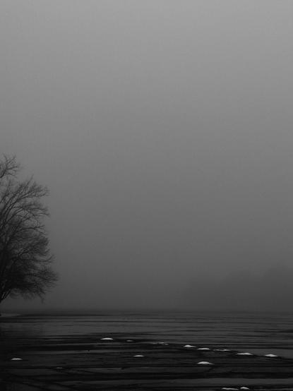 A monochrome image featuring a solitary tree on the left with a foggy and overcast atmosphere. The foreground shows patches of snow scattered across a flat landscape.