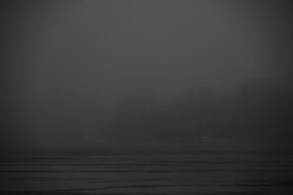 A dark, foggy scene with silhouettes of trees and possibly a house in the background. The foreground appears to be a frozen body of water with faint lines.
