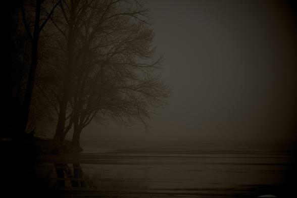 A dark, foggy landscape with silhouetted trees beside a body of water with subtle ice or water patterns.