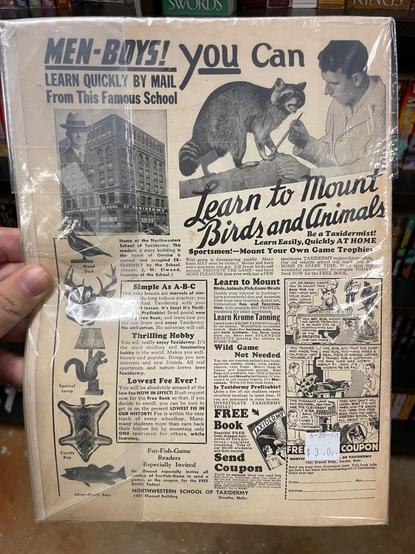 Back cover of the January 1962 issue of Fur-Fish-Game magazine showing a full-page advertisement for discounted lessons on taxidermy from the Northwestern School of Taxidermy in Omaha, Nebraska.