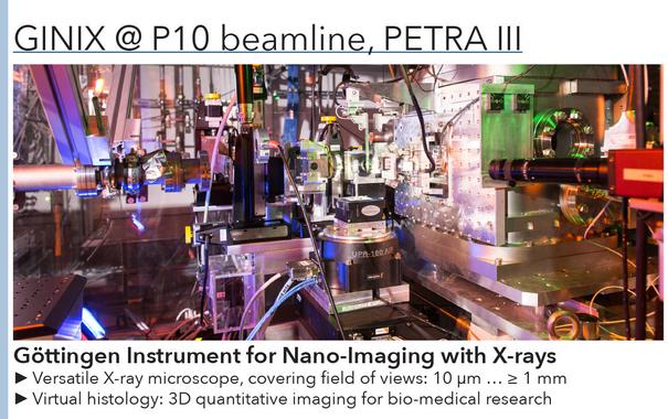 3. GINIX @ P10 Beamline, PETRA III: Diese Sektion beschreibt die GINIX-Anlage am P10-Strahlrohr der PETRA III, inklusive der Fähigkeiten für virtuelle Histologie und mikroskopische Imaging-Feldweiten von 10 Mikrometern bis zu 1 Millimeter.