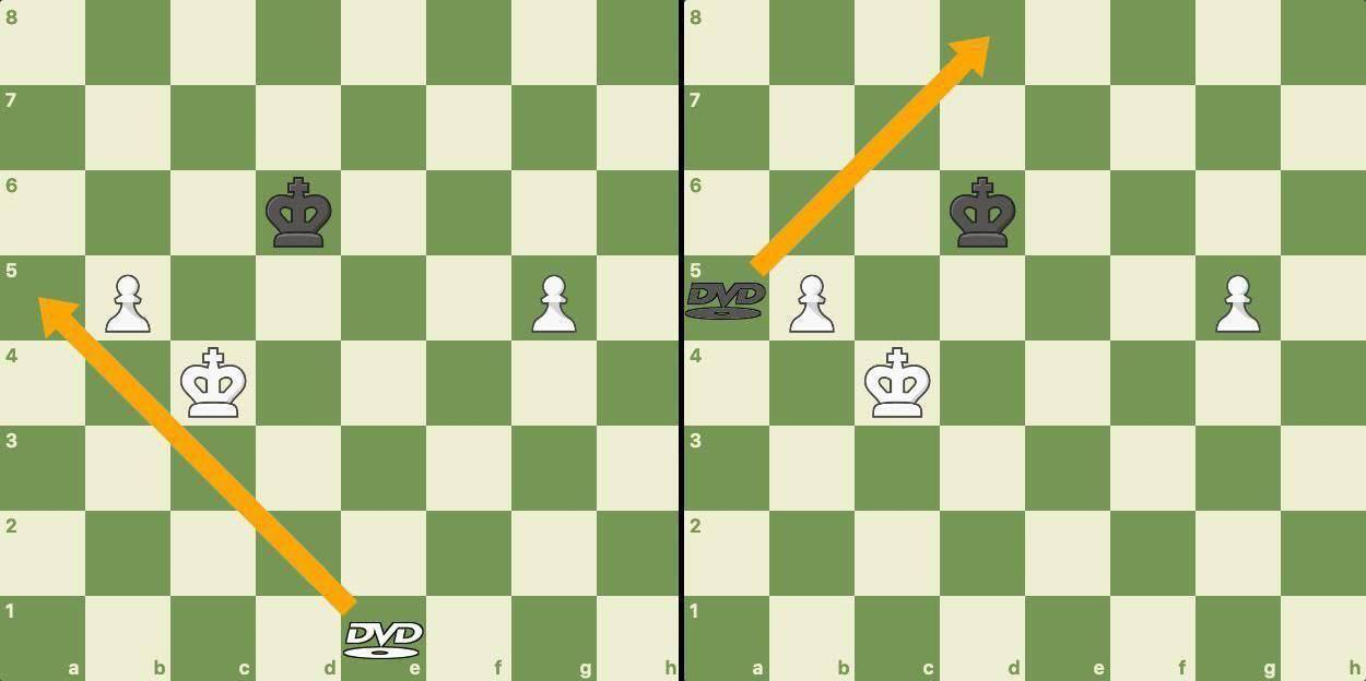 Two images of a chess board explaining the new piece. It's a DVD icon that can move diagonally and only until the edge, when it switches color.