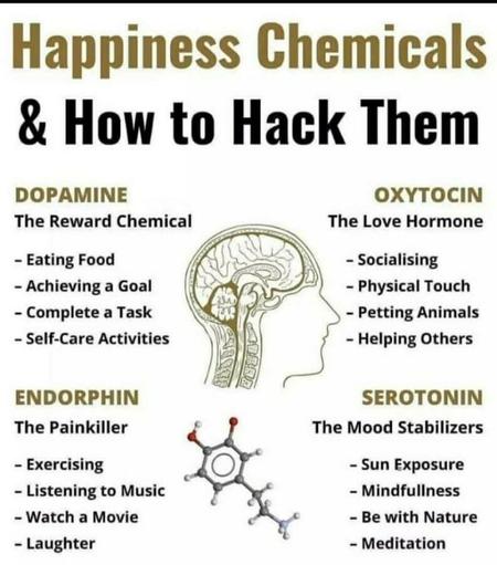 Happiness Chemicals
& How to Hack Them

Dopamine: The Reward Chemical
- Eating Food
- Achieving a Goal
- Complete a Task
- Self-Care Activities

Oxytocin

Endorphin

Serotonin