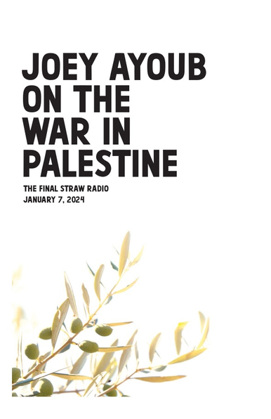 zine cover of "Joey Ayoub on the War in Palestine | The Final Straw Radio - January 7, 2024" featuring a photo of olive branches on a white background