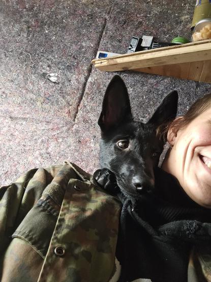 Hundewelpe auf Schulter