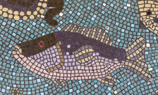 fish mosaic, NSW