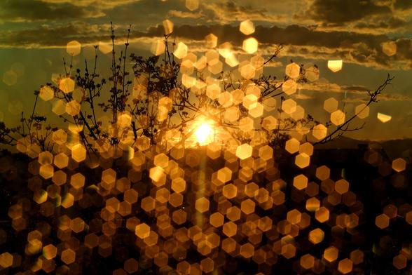 A sunset through a multi-pane window at slow aperture using 6-blade Konica Hexanon AR 50mm f/1.7, showing hundreds of hexagonal reflections of the sun on drops of rain on the window.