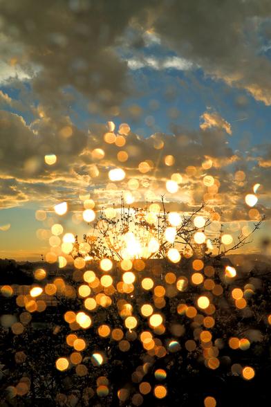 A vertical "portrait" orientation shot of a sunset through a window covered in raindrops, focused at infinity. Lens used was Samsung NX 16-50mm f/3.5-5.6 Power Zoom (semi-pancake lens). Clouds were dispersing after a hail storm, showing some blue tones and  contrasting nicely with admittedly bad quality out-of-focus reflections of the sun on the raindrops on the window. The tree outside the window is still covered in partially frozen snow-like cover, remnants of smaller and soft-ish hailstones.
