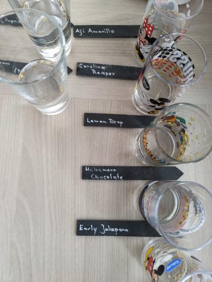 ein paar Gläser von oben, halb gefüllt mit Wasser darin schwimmen Chili- und Paprikasamen