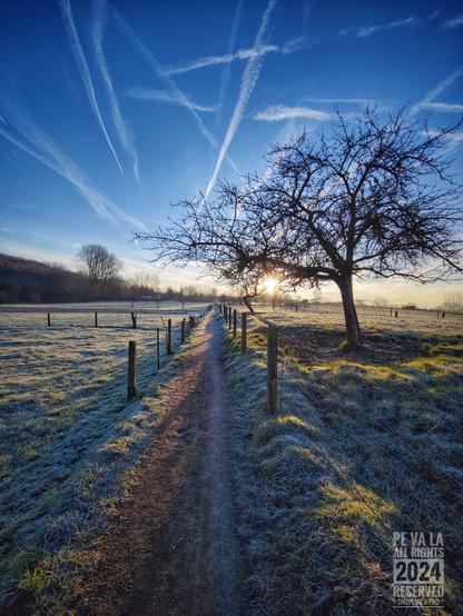 In het midden een wandelpad met links en rechts een weide, afgesloten met elektrische draad.
Rechts staat er in de weide ook nog een boom.
De lucht is mooi blauw met meerdere witte "vliegtuigsporen".