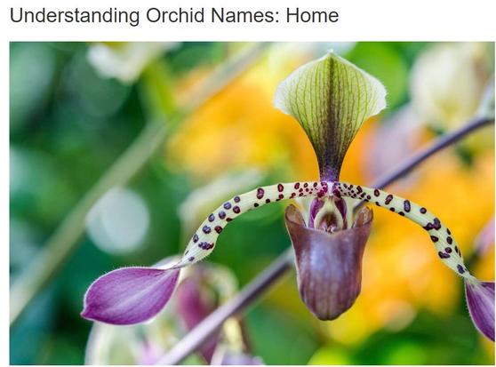 Understanding Orchid Names, article