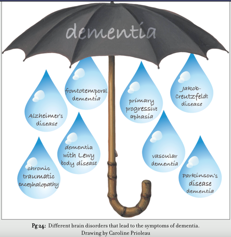 Umbrella with the word Dementia. Raindrops have different brain disorders written on them. Alzheimer's disease, FTD, dementia with Lewy Body disease, CTE, PPA, Jakob-Creutzfeldt disease, vascular dementia, Parkinson's disease dementia. The drawing is by Caroline Prioleau.
