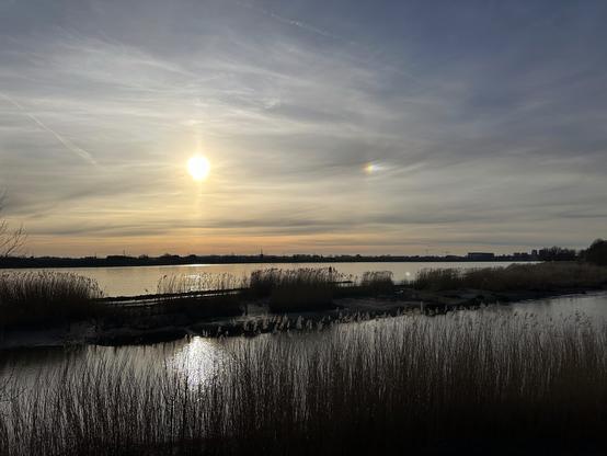 The sun and a righthand sundog above Kinderdijk and the river Lek.