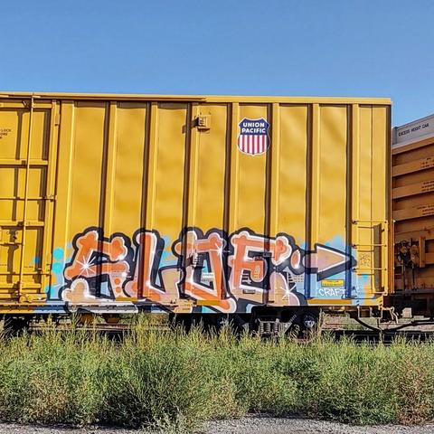 Train car with graffiti rolling through Kamloops BC Canada