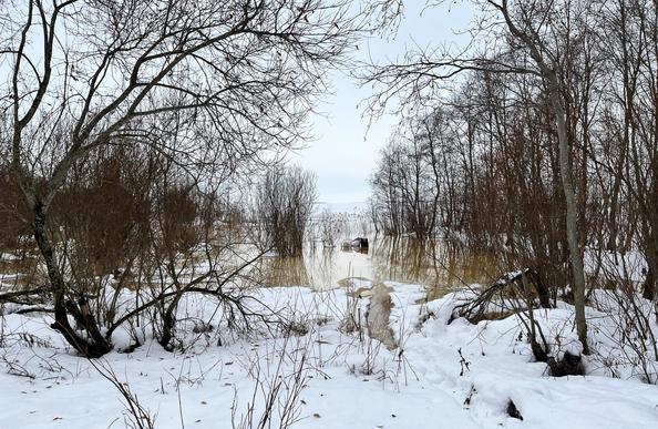 Hietasaaren merenpuoleista rantapusikkoa talvella. Kellertävä vesi on tulvinut lumen päälle, ja sen keskellä on kolme parveketuolia.