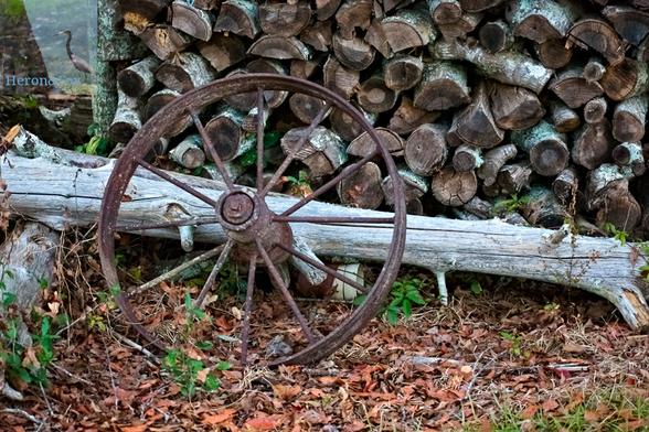 An outdoor, daylight photograph of a rusted and corroded steel wheel, a ring with ten spokes from the thick axle to the outer ring. Behind it is a fallen tree limb, behind which is a pile of wood, cut for burning in a fireplace. Brown leaves are scattered across the ground.