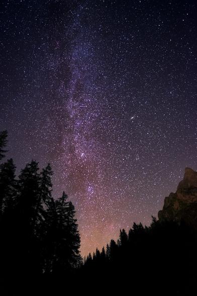 Im Vordergrund sind ein Nadelwald links und eine Bergspitze rechts zu sehen. Darüber ein Sternenhimmel, mit er Milchstraße im Zentrum.