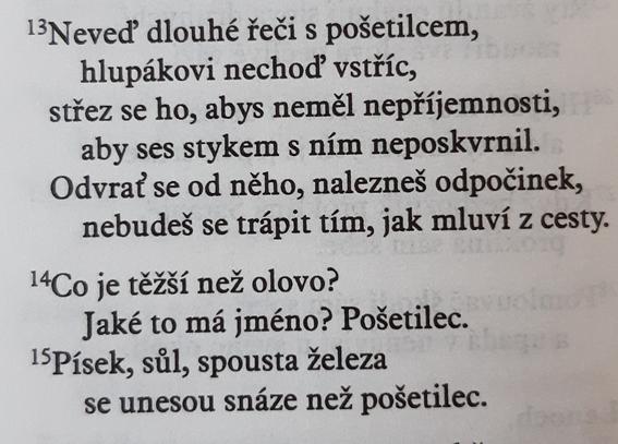 Neveď dlouhé řeči s pošetilcem...
